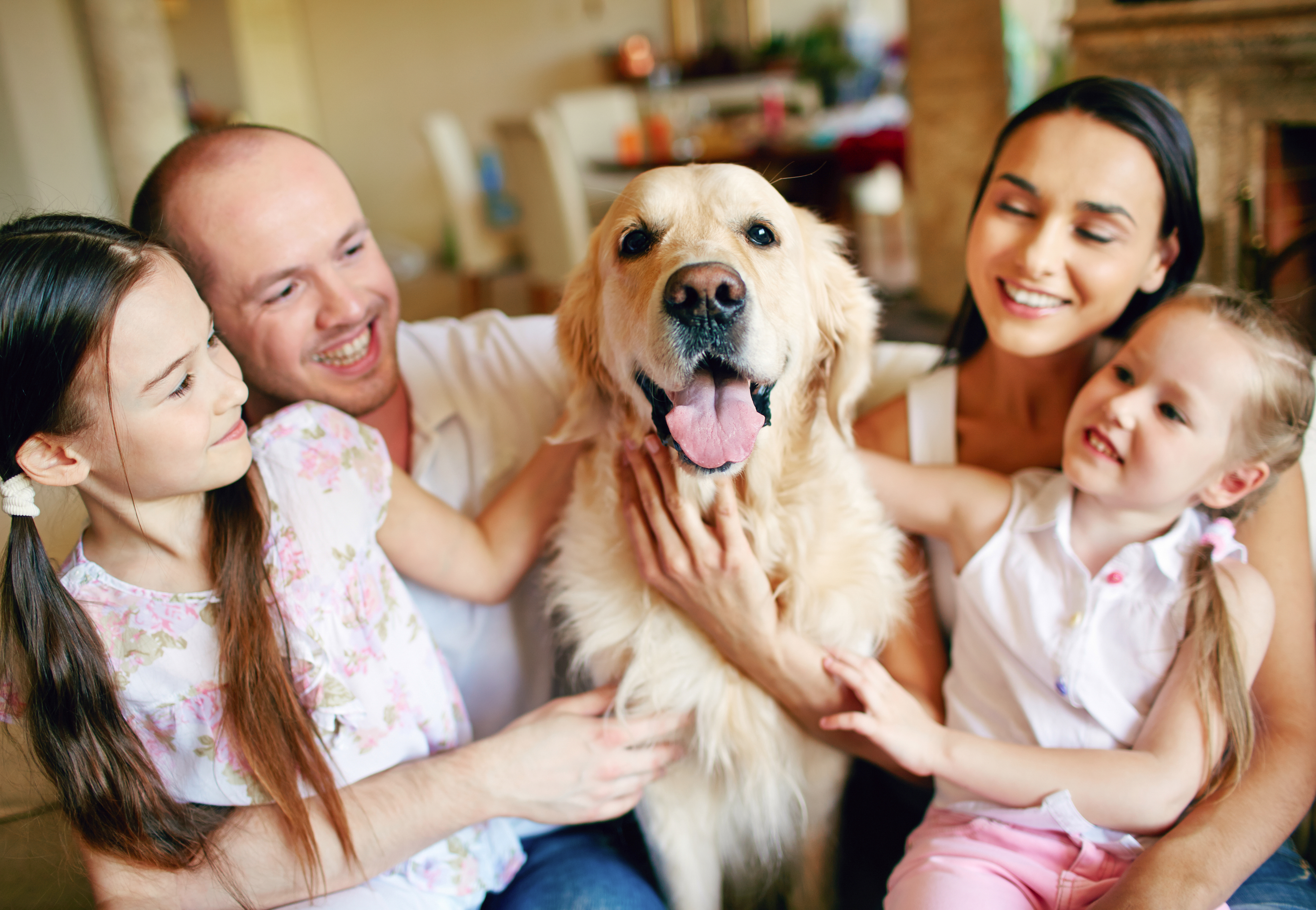 Family photo - shutterstock